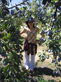 Joy among plums