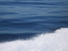 blue water and spray from the ferry to Catalina Island