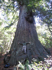 doug the tree hugger