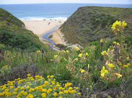 Montara Beach