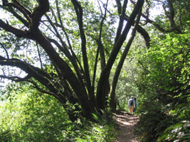 hiking in the huckleberry preserve