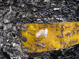 staples in a Berkeley telephone pole