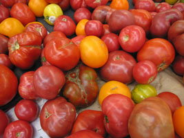 tomatoes at Berkeley Bowl
