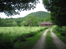 the front yard