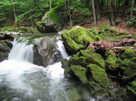 swimming hole