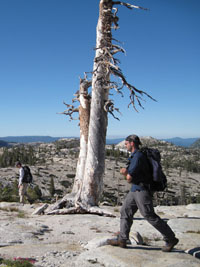 en route to Bartlett Peak