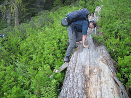climbing over a log