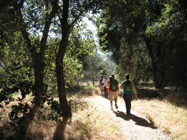 afternoon in Pinnacles. by Joy