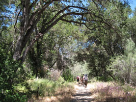 afternoon in Pinnacles. by Joy