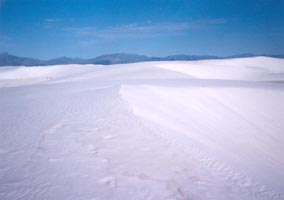 white sands