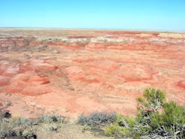 Petrified Forest - photo by haggart