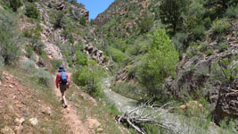 hiking into kanarra canyon, utah