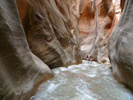 joy crosses the torrent