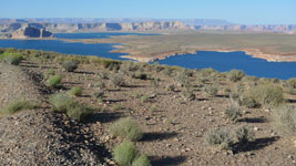 Lake Powell