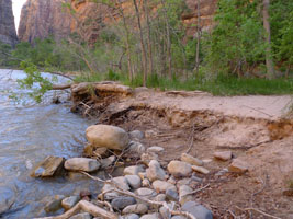 the Virgin River is still cutting deeper