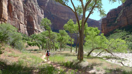 Zion Canyon