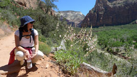 Zion Canyon