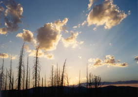 Yellowstone sunset