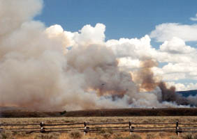 grass fire.. see the helicopter