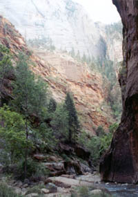 Zion Narrows