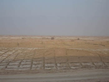 grass grid to keep the Taklimakan Desert away