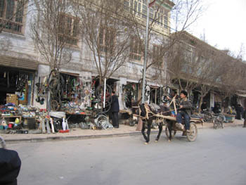 donkey cart, Kashgar