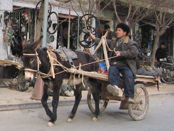 kashgar donkey cart
