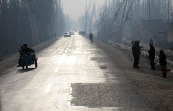poplar lined street, Xinjiang