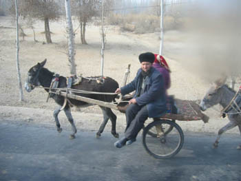 donkey carts going to market
